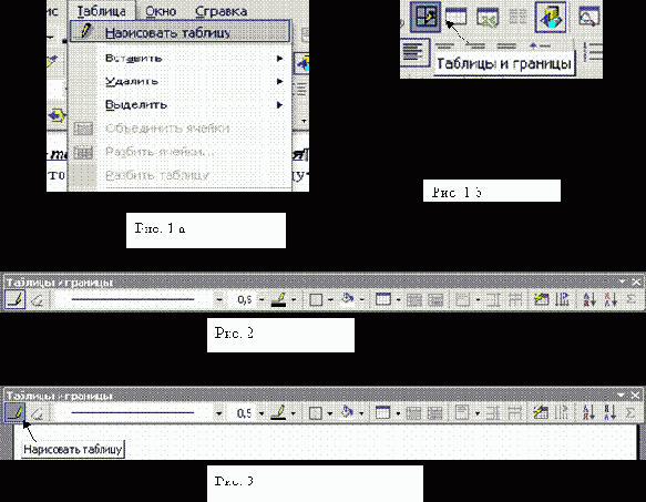    MS Word  